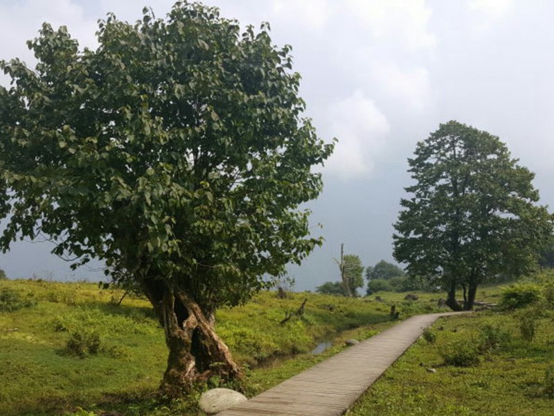 14724144550.29900900.1570_android_1472414452316.jpg/